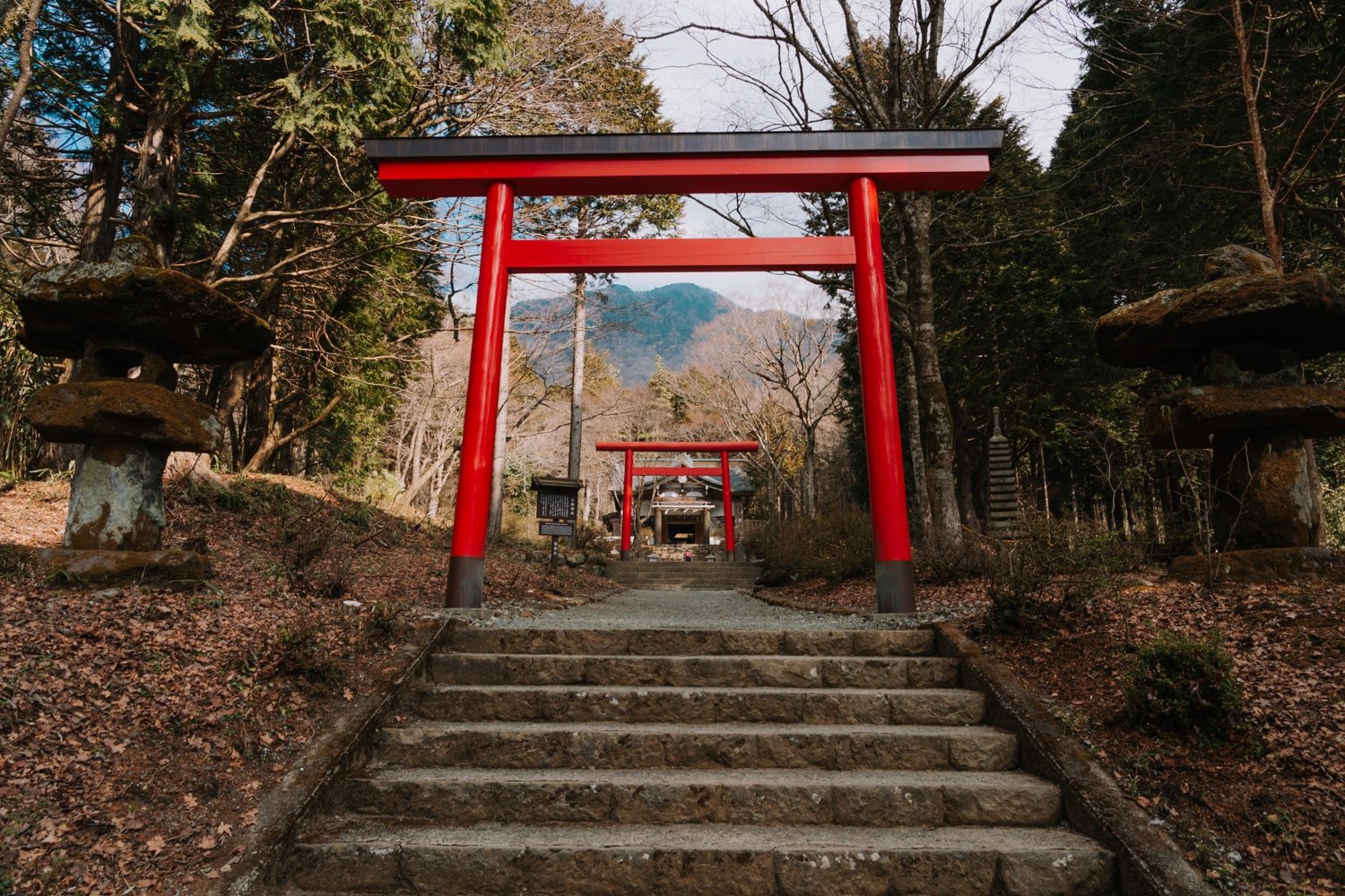 The red torii gates of the Kintoki Jinja (shrine) in Hakone, Japan.