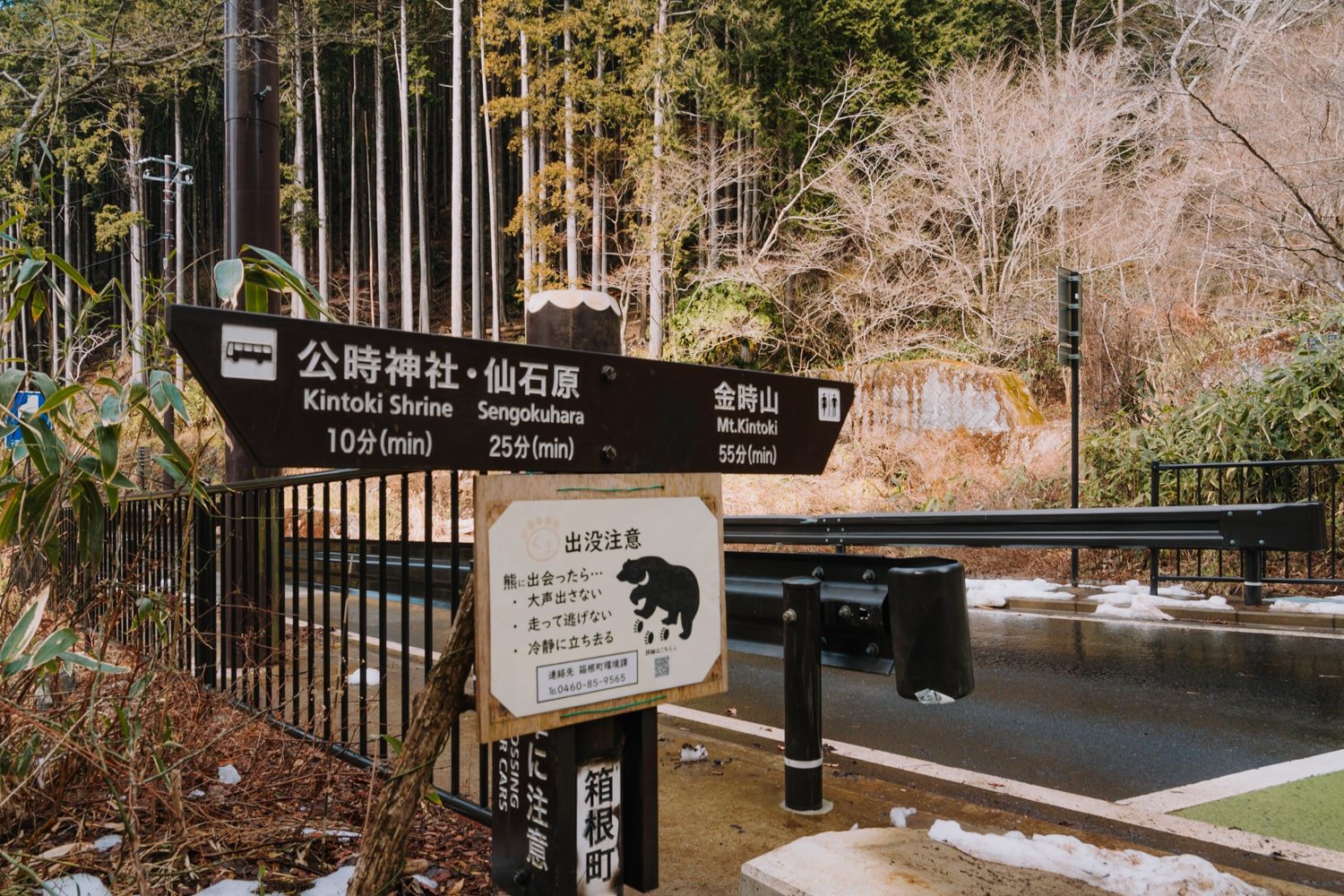 A road crossing and hiking post showing the way to Mount Kintoki summit.