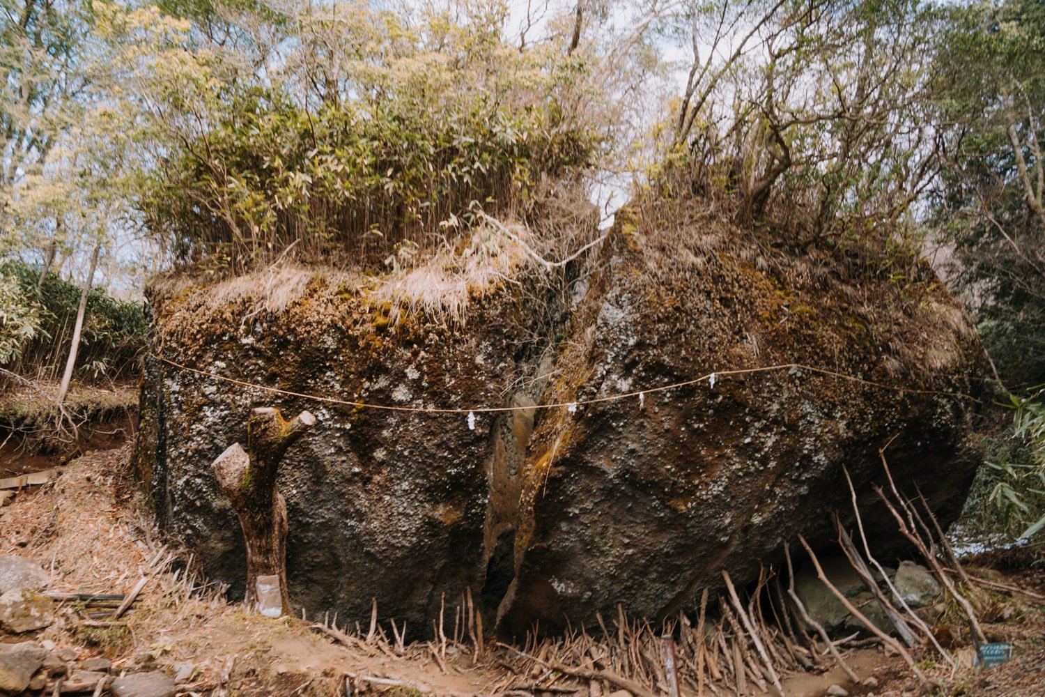 A massive boulder split in two—according to the legend of Kintaro—along the Mt Kintoki hiking trail.