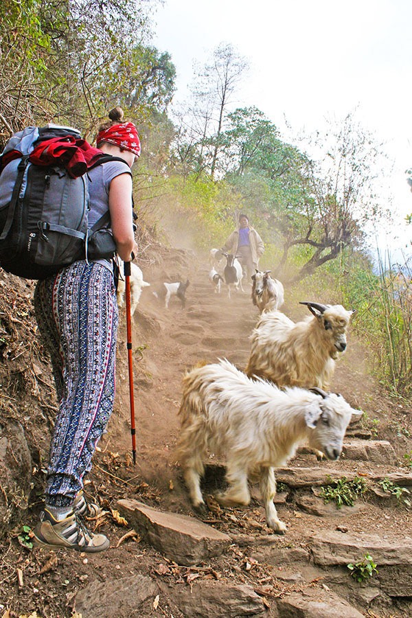 Backpacking in Nepal