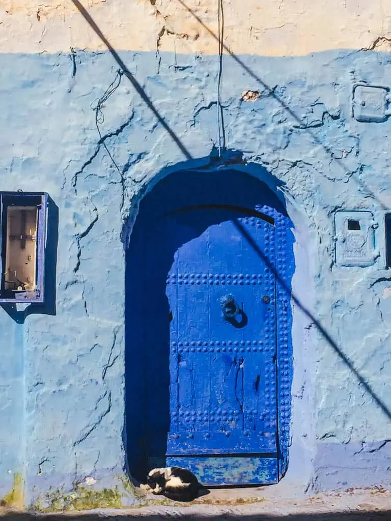 Dark blue door in Chefchaouen Morocco with a small cat curled up sleeping in front of it 