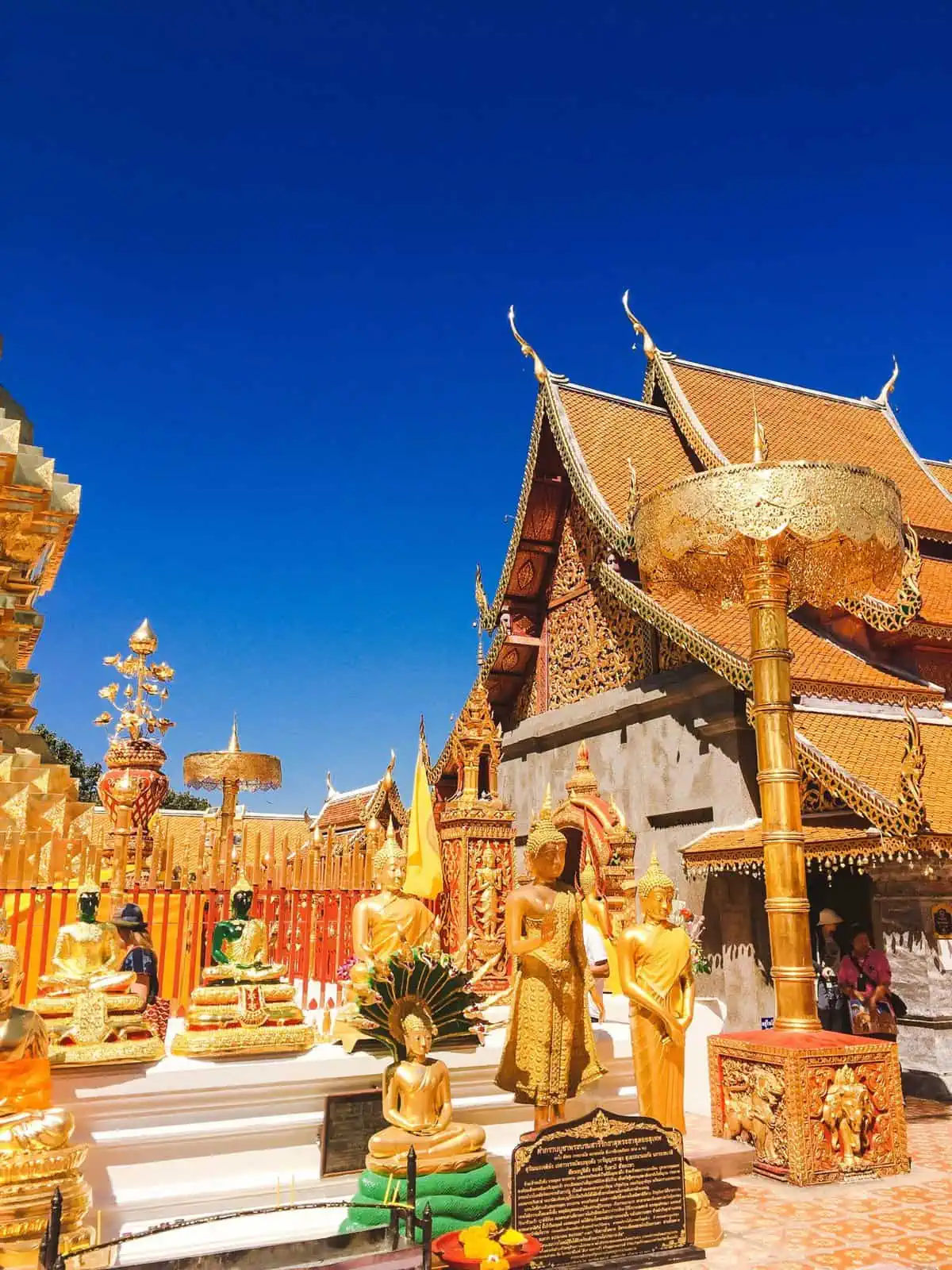 Doi Suthep temple in Chiang Mai, Thailand featuring golden statues, temples and a fence