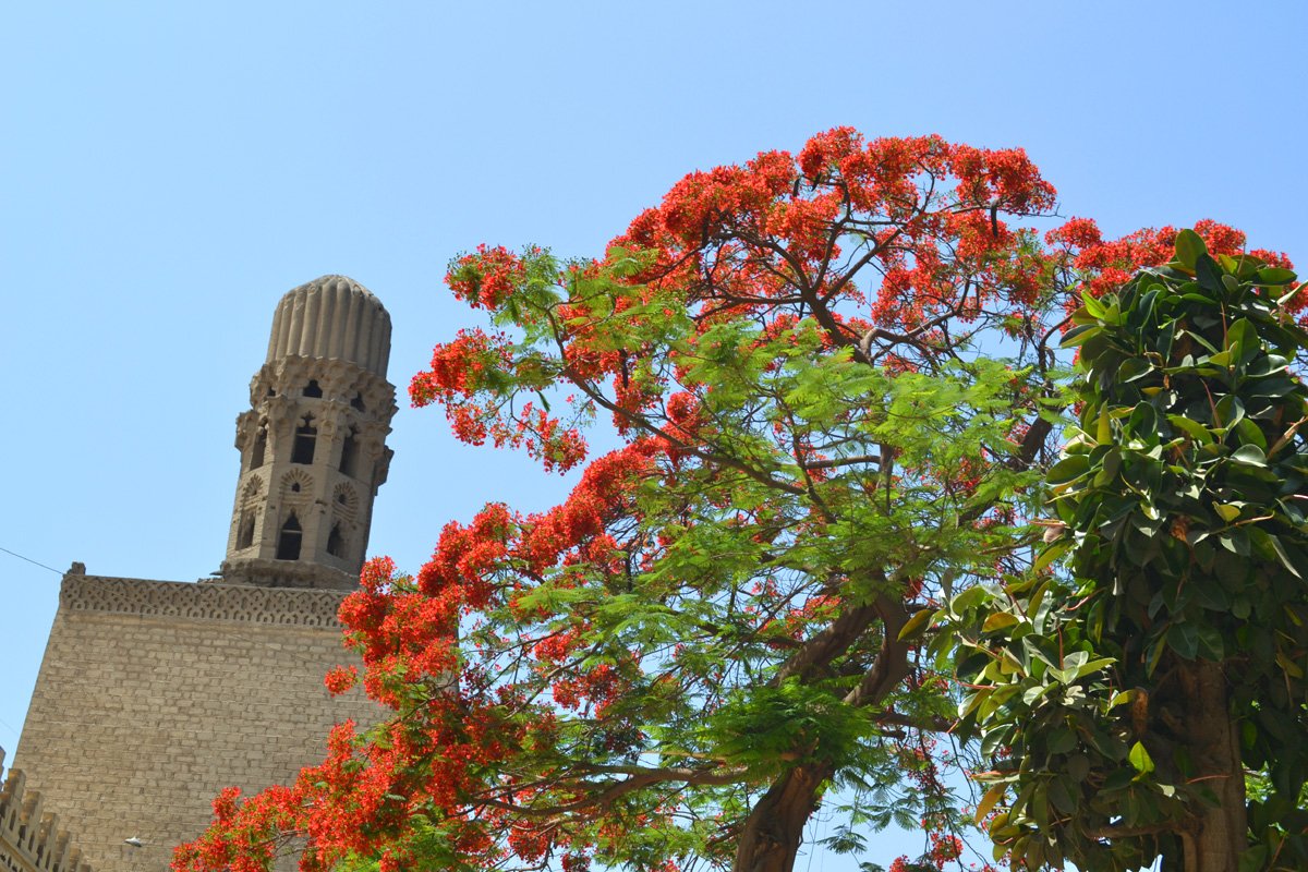 Hakim Mosque