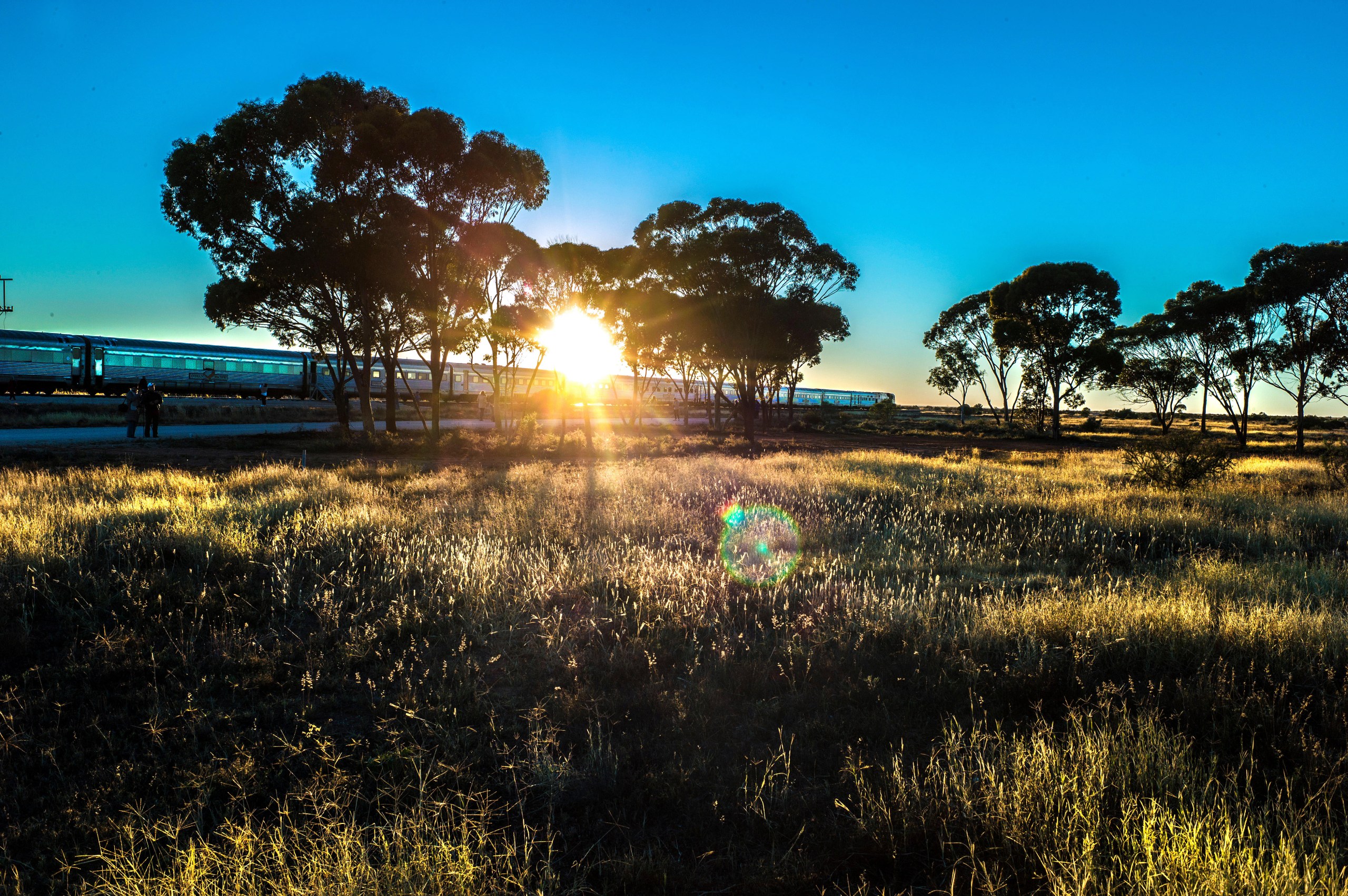 On the Indian Pacific from Perth to Sydney (Alamy)