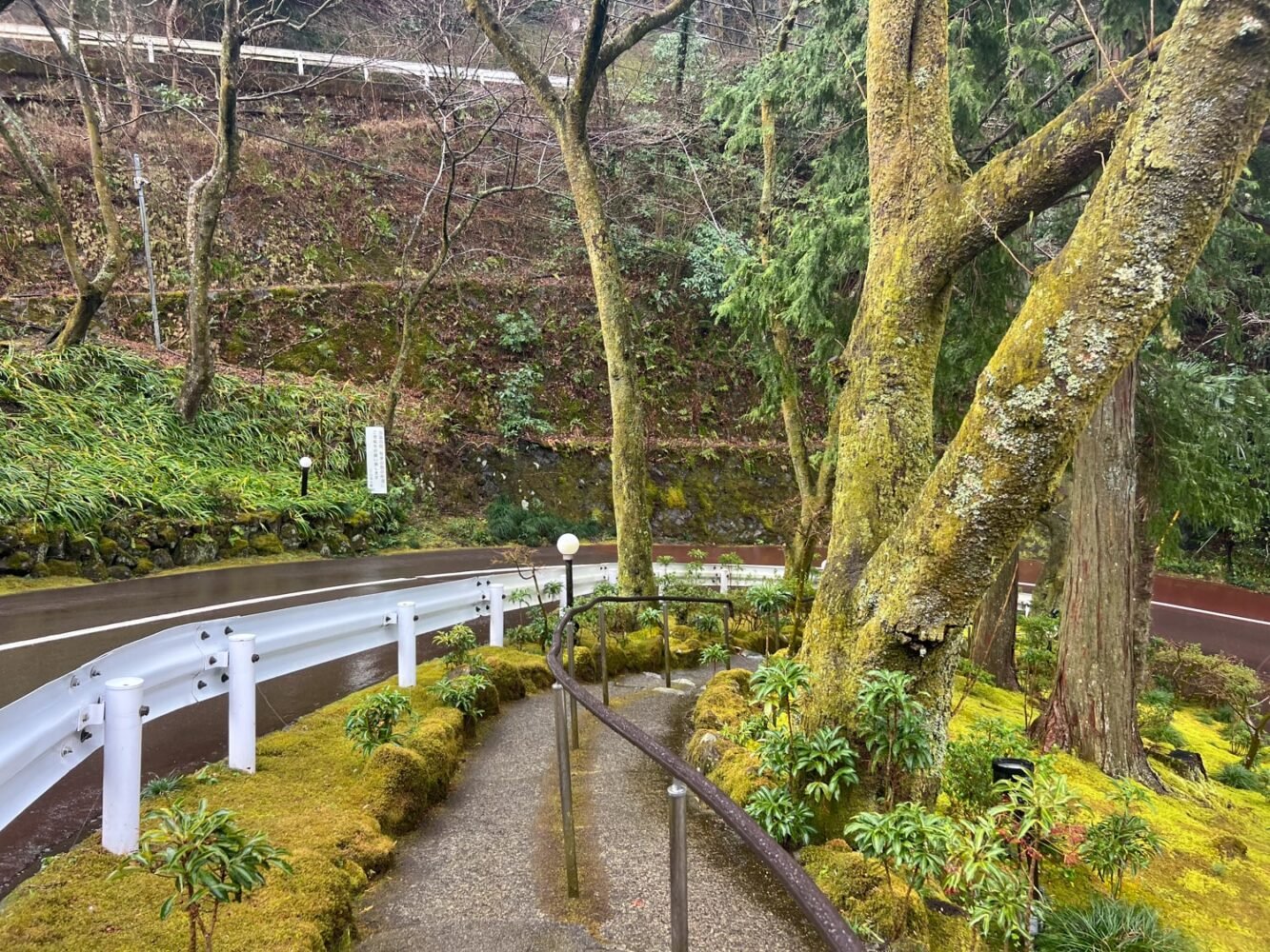 Green footpath beside road leading to Tenzan Onsen from bus stop.