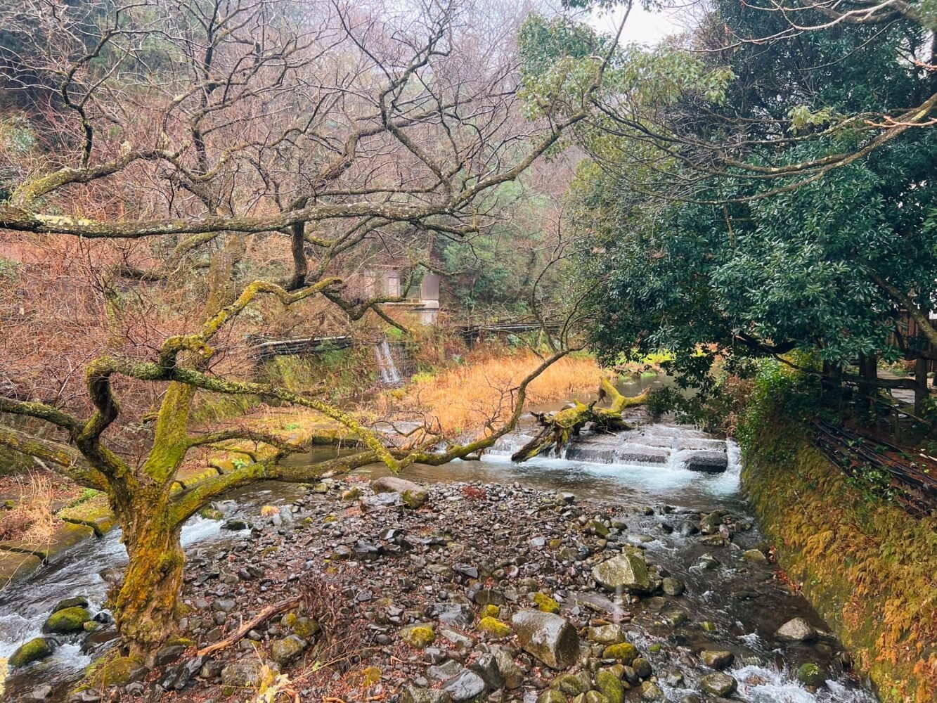 River and foliage under the rain in Hakone-Yumoto beside Tenzan Onsen.