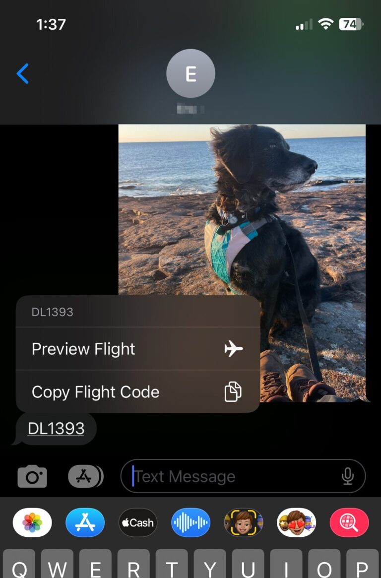 The Easiest Way to Share Flight Info with Friends & Family