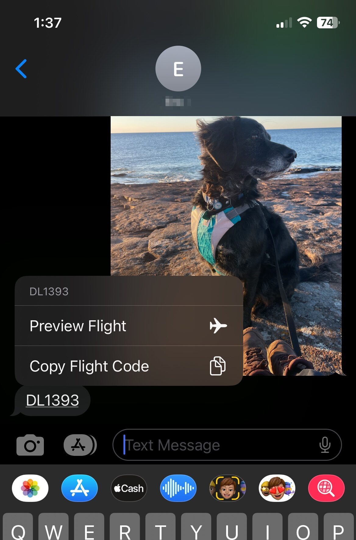 iPhone flight preview 