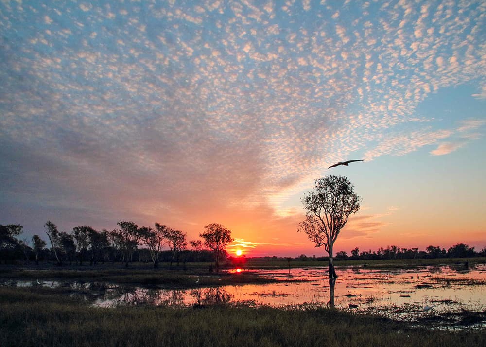 Saskia in Kakadu NP Australia at sunset