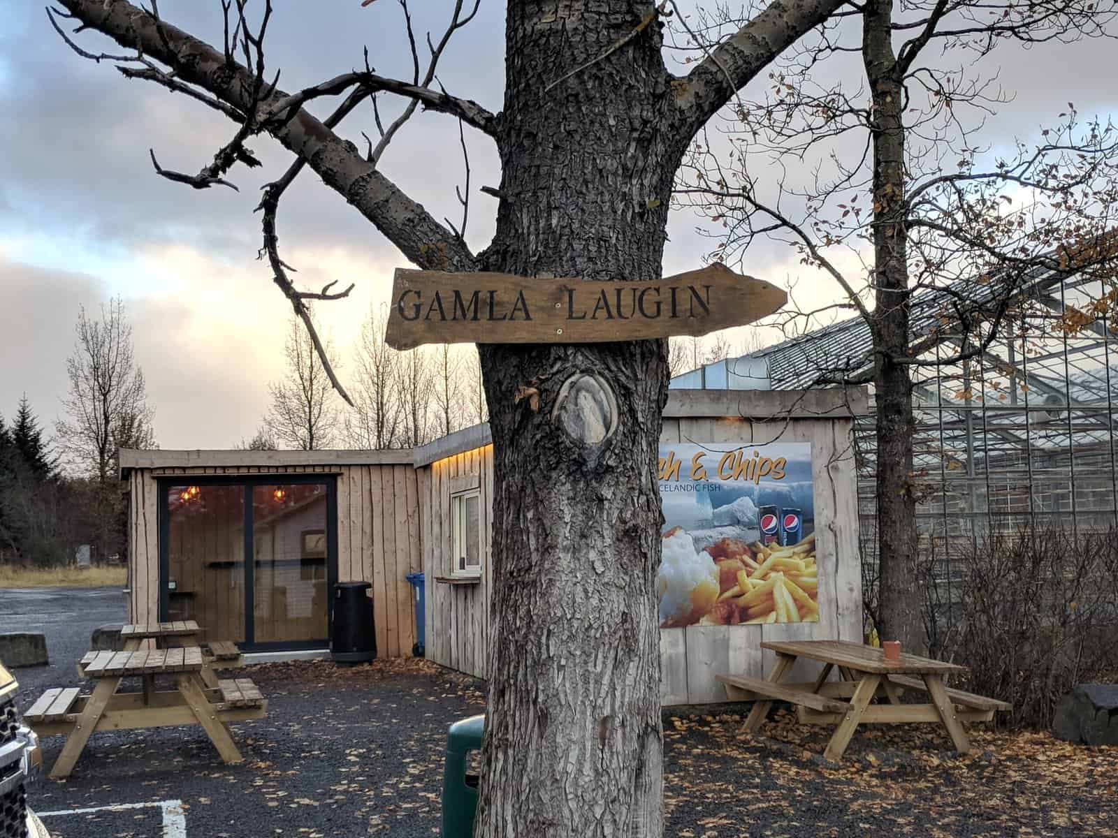 Sign that reads Gamla Laugin on a tree pointing towards the Secret Lagoon in Iceland 