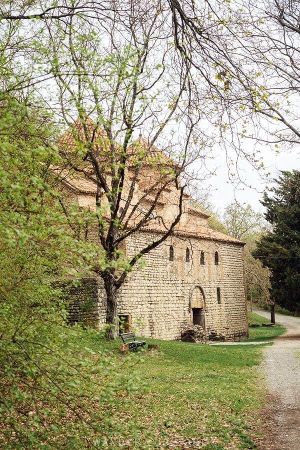 Gurrjani Kvelatsminda, a double-domed church surrounded by leafy trees in Kakheti, Georgia.