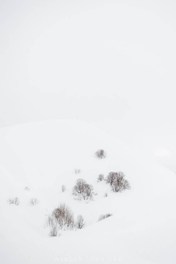 A white snowy hill in Gudauri with trees and a cross in the distance.