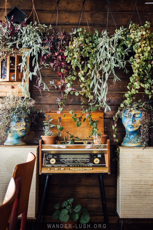 Indoor plants, sculptures and a vintage radio inside a bar in Gudauri, Georgia.