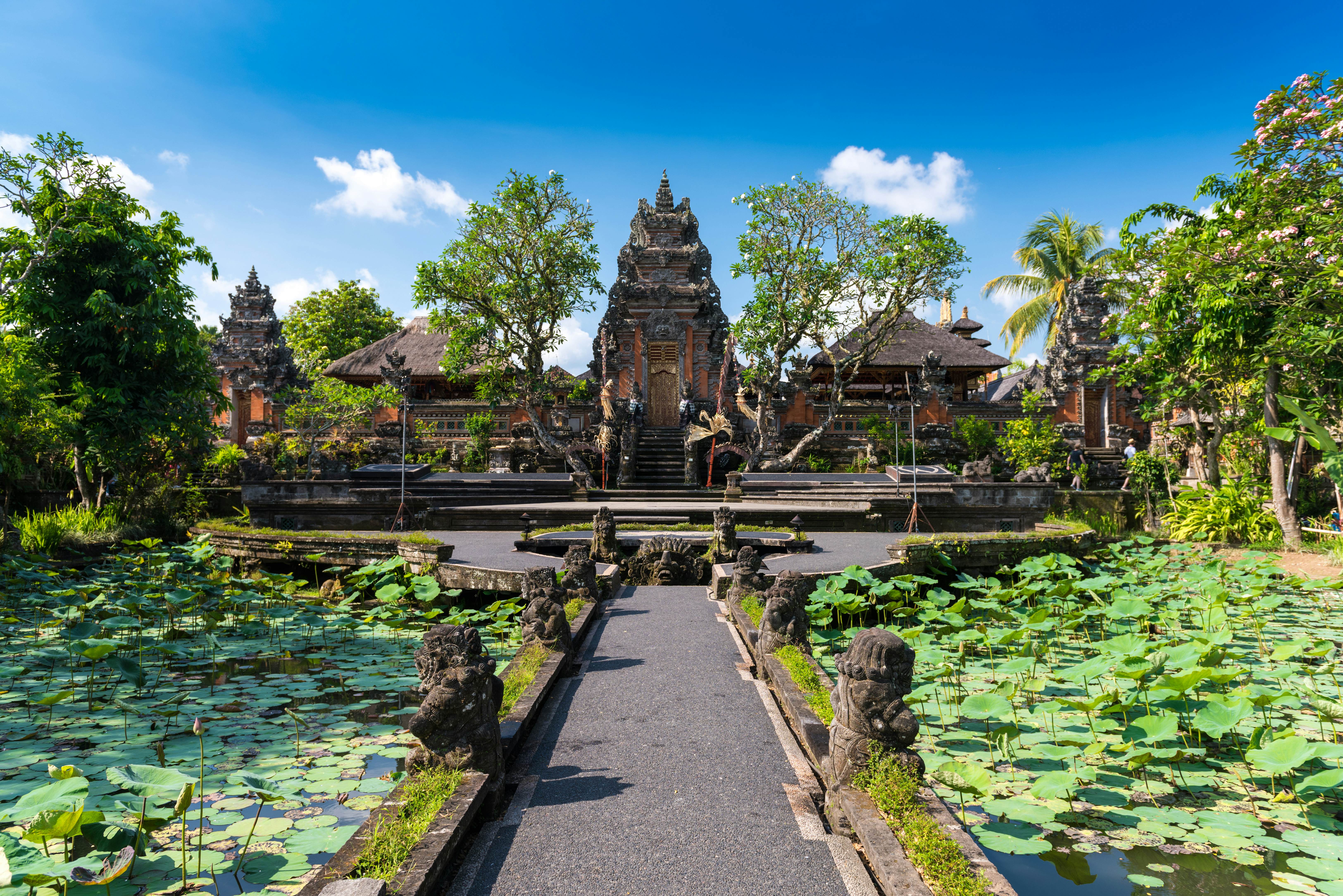 A pathway between lily-covered ponds leads to a temple building