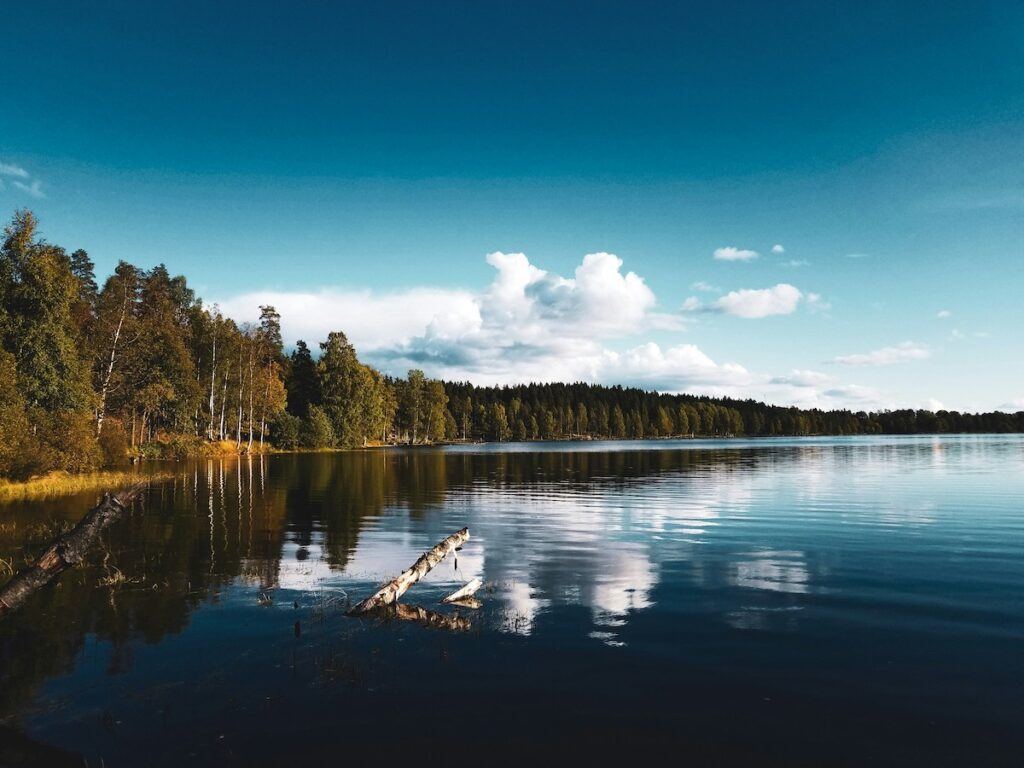 A blue lake surrounded by green pine trees underneath a beautiful blue sky with a few clouds.