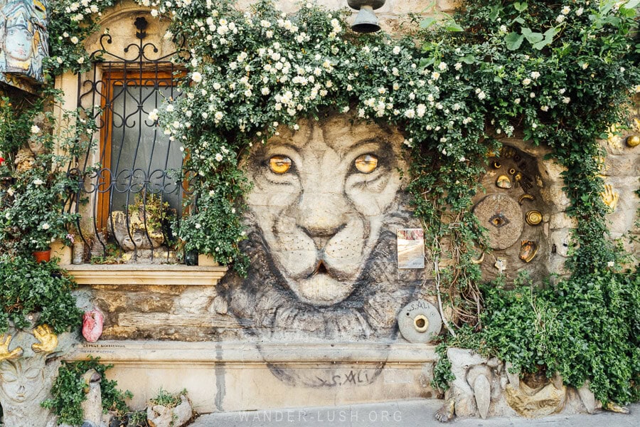 Street art in Old Baku depicting a lion's face with a mane of flower bushes.