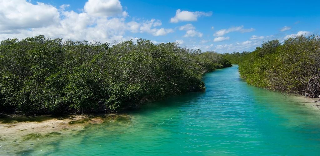 An aerial view of a river and mangroves in the Sian Ka'an Biosphere Reserve