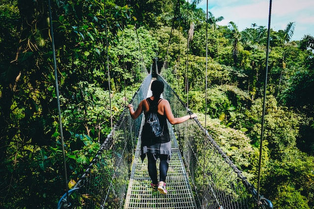 costa rica rainforest