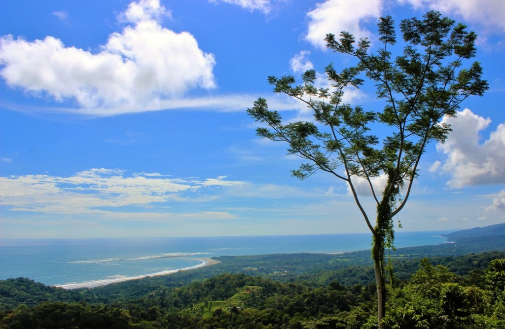 Osa Mountain Village in the Southern Pacific Zone of Costa Rica