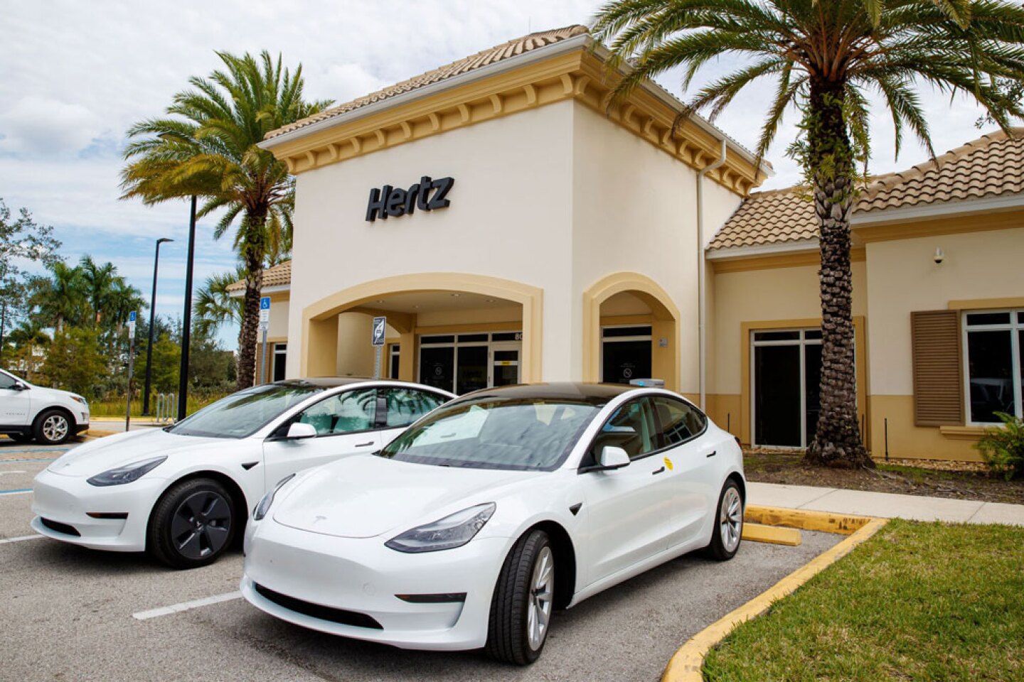 Two white Teslas parked outside a Hertz car rental shop, with two palm trees behind them 