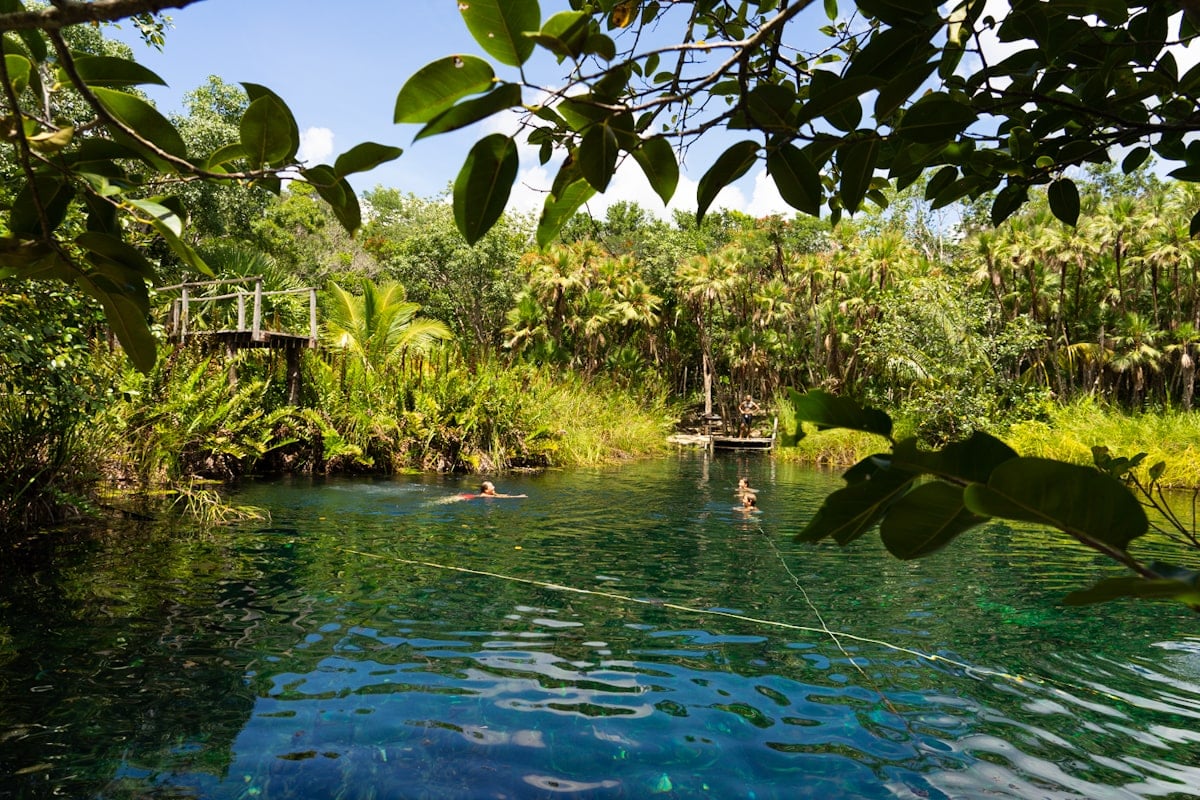 kids swimming in cenote cristal near tulum