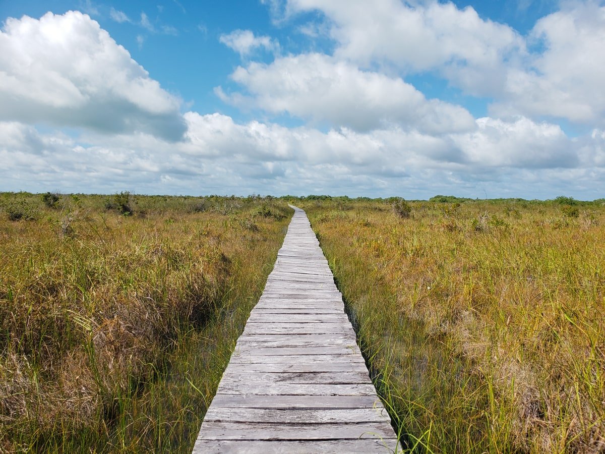 Boardwalk for the end of the Muyil float inside Sian Ka'an Biosphere Reserve.