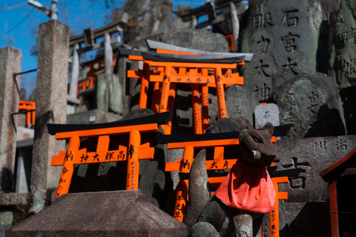 Mini Torii gates and inari (fox) statue at Mount Inari, Kyoto, Japan.