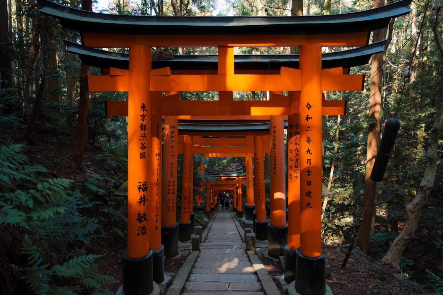 Staircase with orange torii gates in forest leading up/down from the Mount Inari summit in Kyoto, Japan.