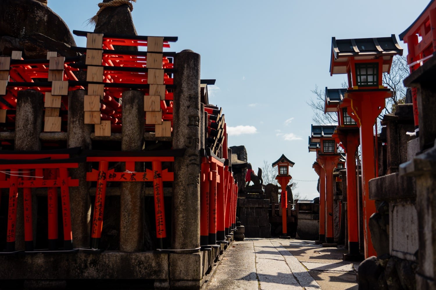 Sacred mini torii gates on Mount Inari summit.