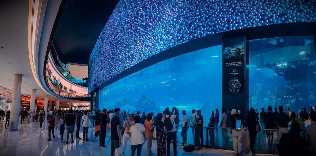 Crowds observing diverse marine life at Dubai Aquarium.