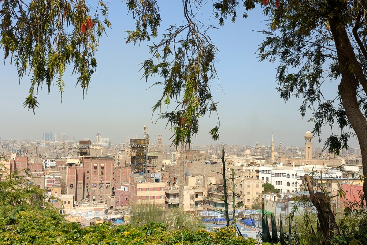 A view of Darb al Ahmar as seen from Azhar Park in Cairo shows beige and brown apartment blocks amid minarets and domes. The shot is framed by greenery and tree branches. 