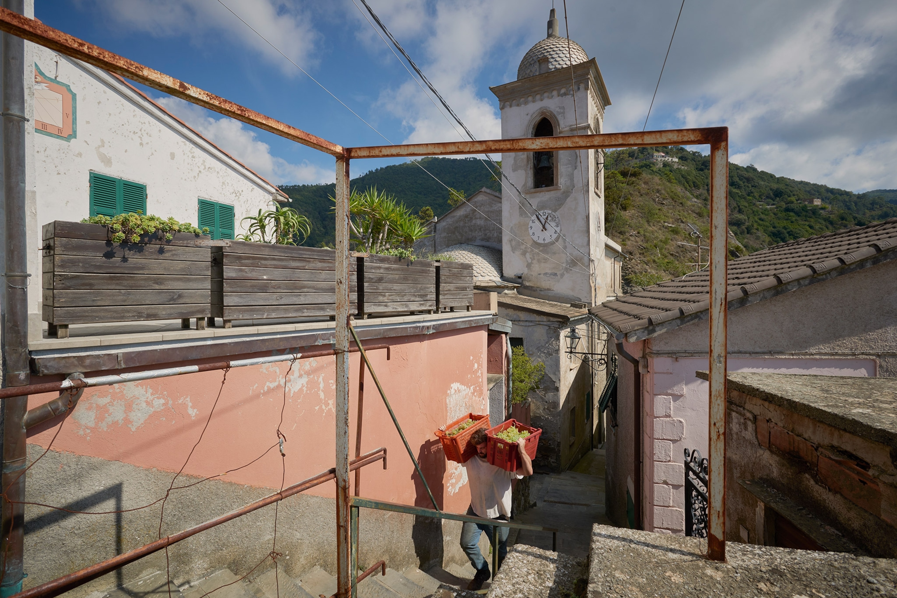 A worker carries a box full of grapes to the wine facility up a flight of stairs