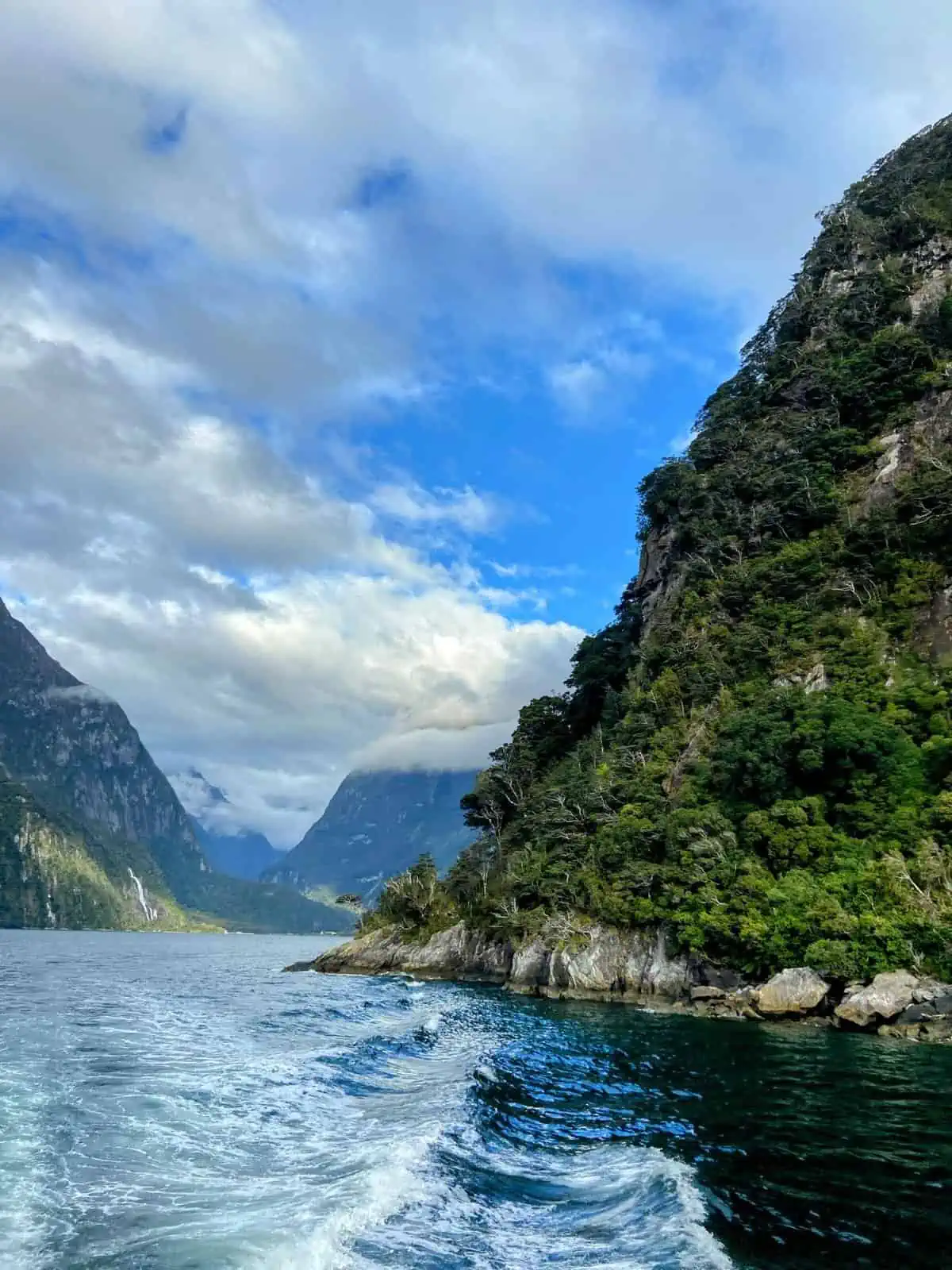 cruise in Milford Sound, view of the fiord from boat