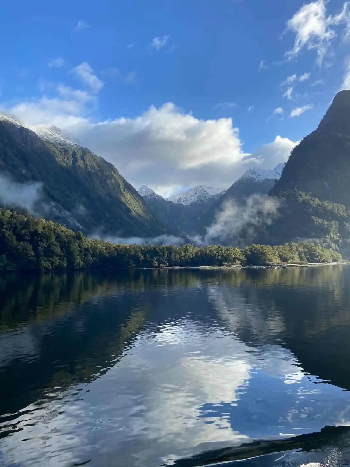 Doubtful Sound overnight cruise in New Zealand cover