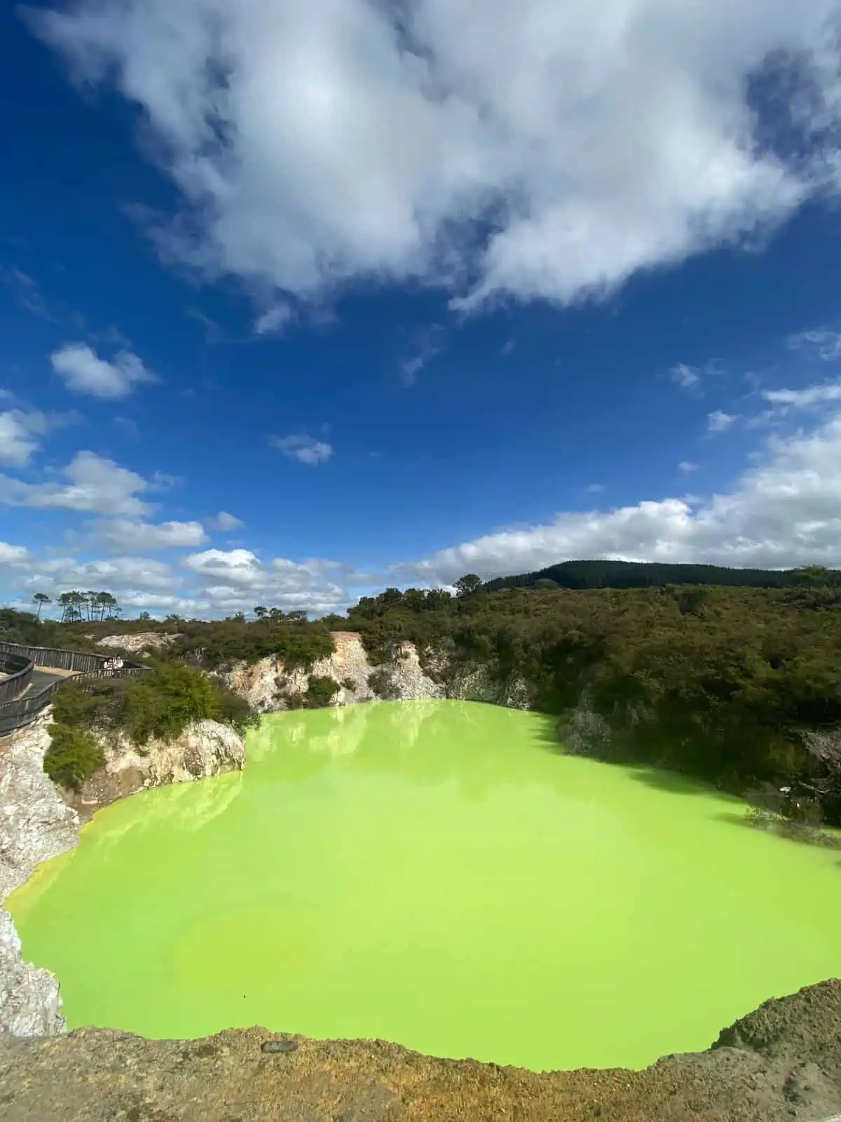 Roto Karikitea neon green pool at Wai-O-Tapu, Rotorua geothermal park, New Zealand