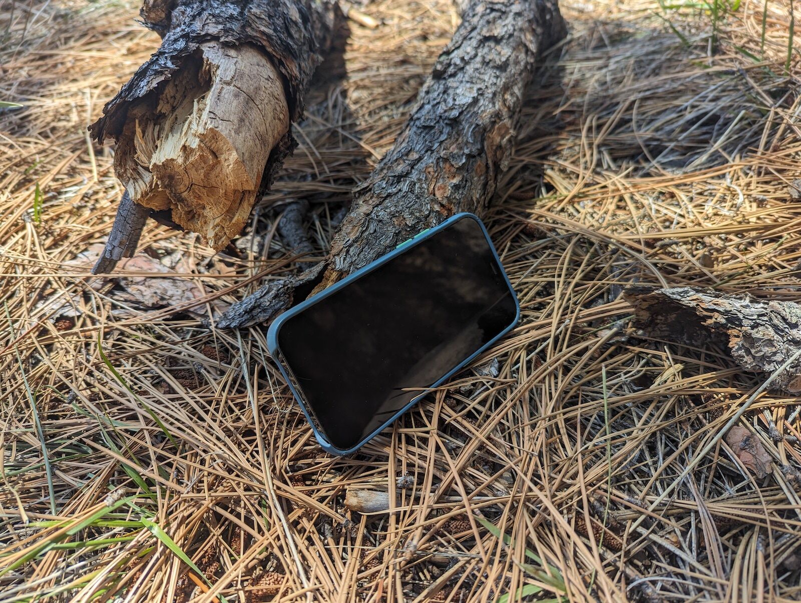  lifeproof wake in the dirt