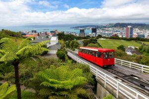 This New Zealand city is trying to recruit Americans—what it's actually like to move there