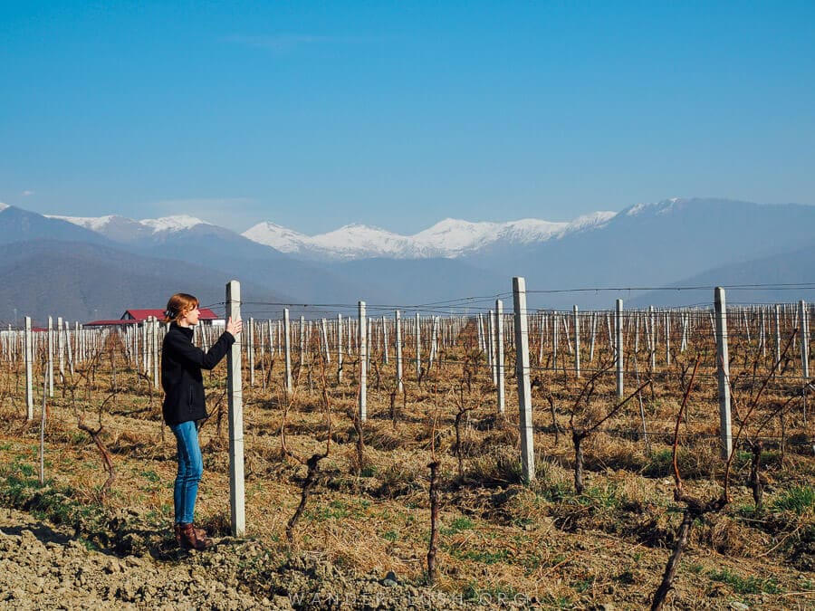 A woman stands in a vineyard in Kakheti, Georgia.