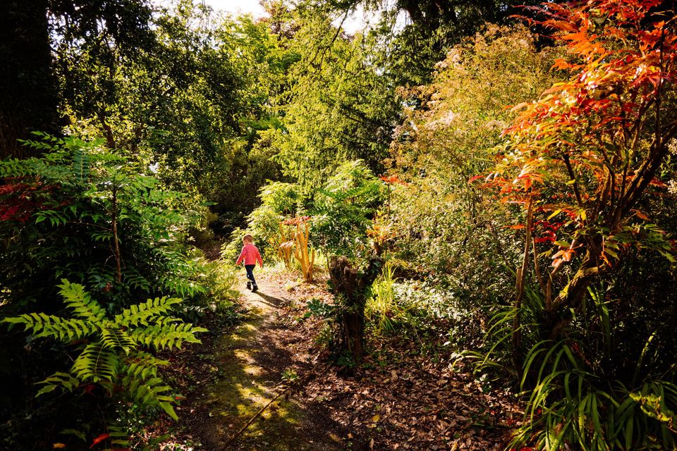 Mount Congreve Gardens, Co. Waterford