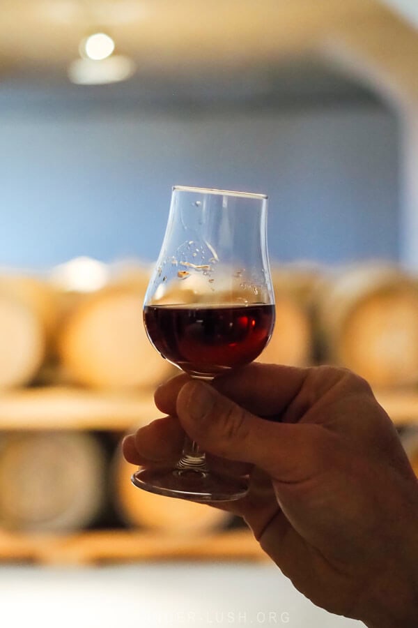 A hand holding a small glass of brandy against a backdrop of barrels inside an underground cellar.