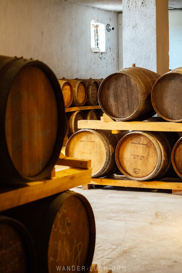 Oak barrels stacked inside a subterranean cellar.