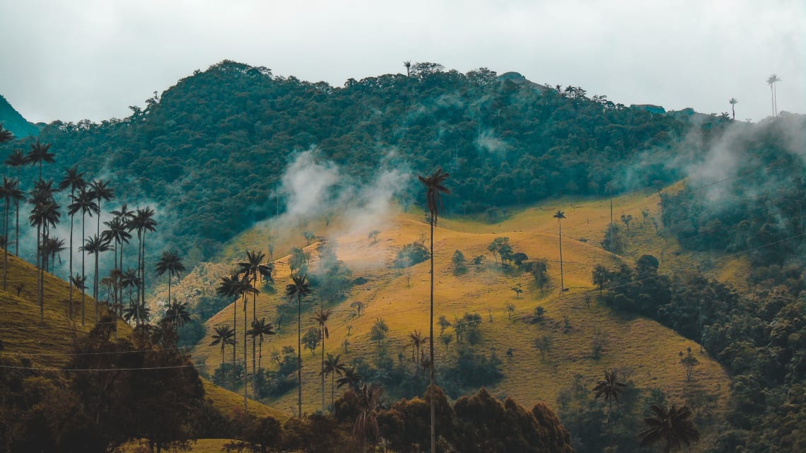 Sabbatical in Colombia