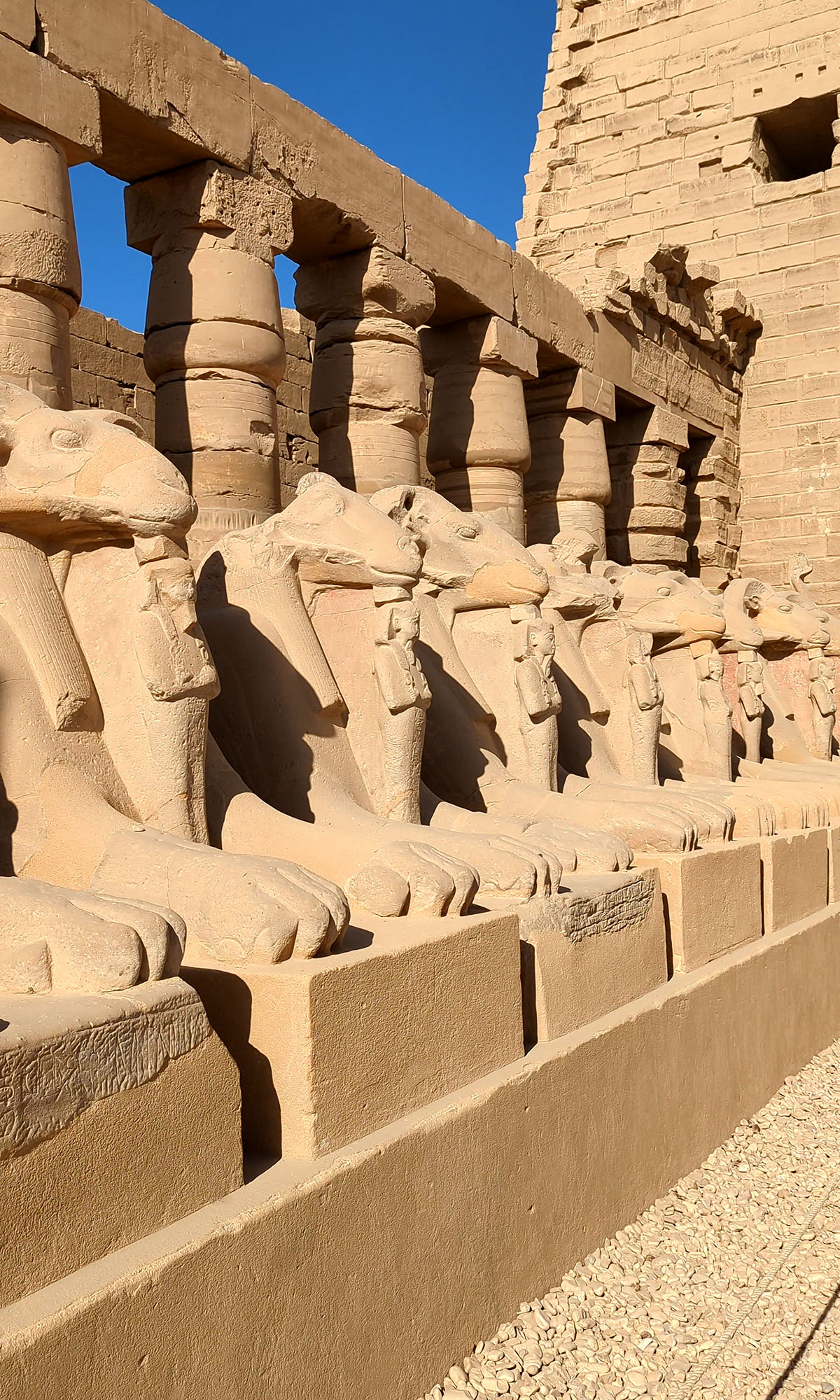 An avenue of sphinx statues lines the entrance to the Karnak Temple in Luxor. 