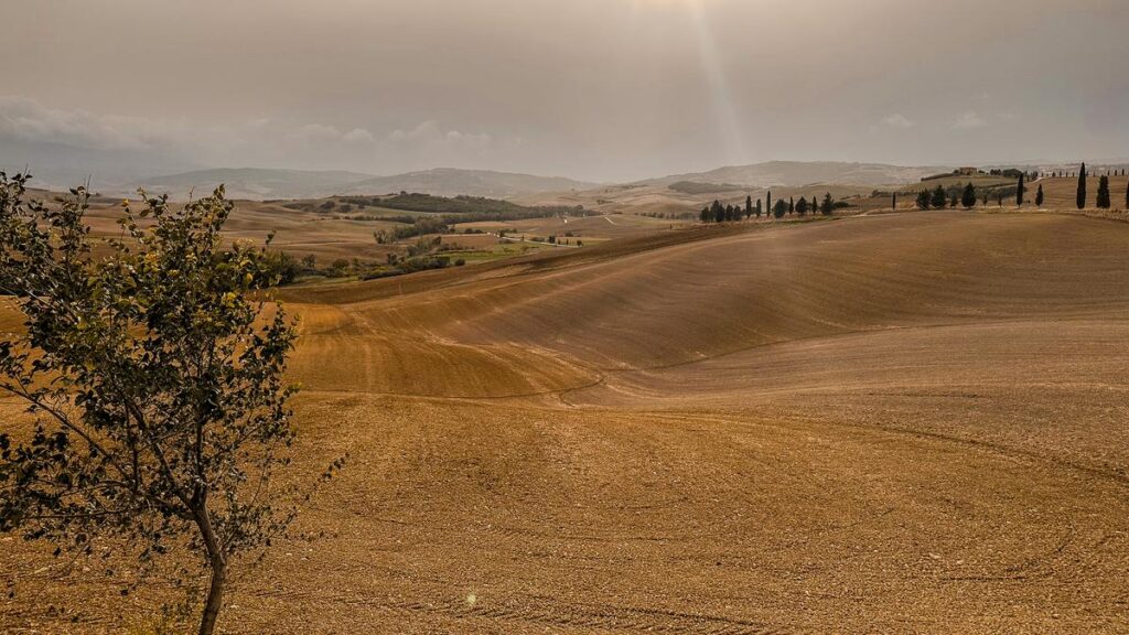 Tuscan Landscape near Pienza, Italy - Serene rolling hills, cypress trees, and farmhouses under sRGB color space. GPS: 43.068653 latitude, 11.67815 longitude.