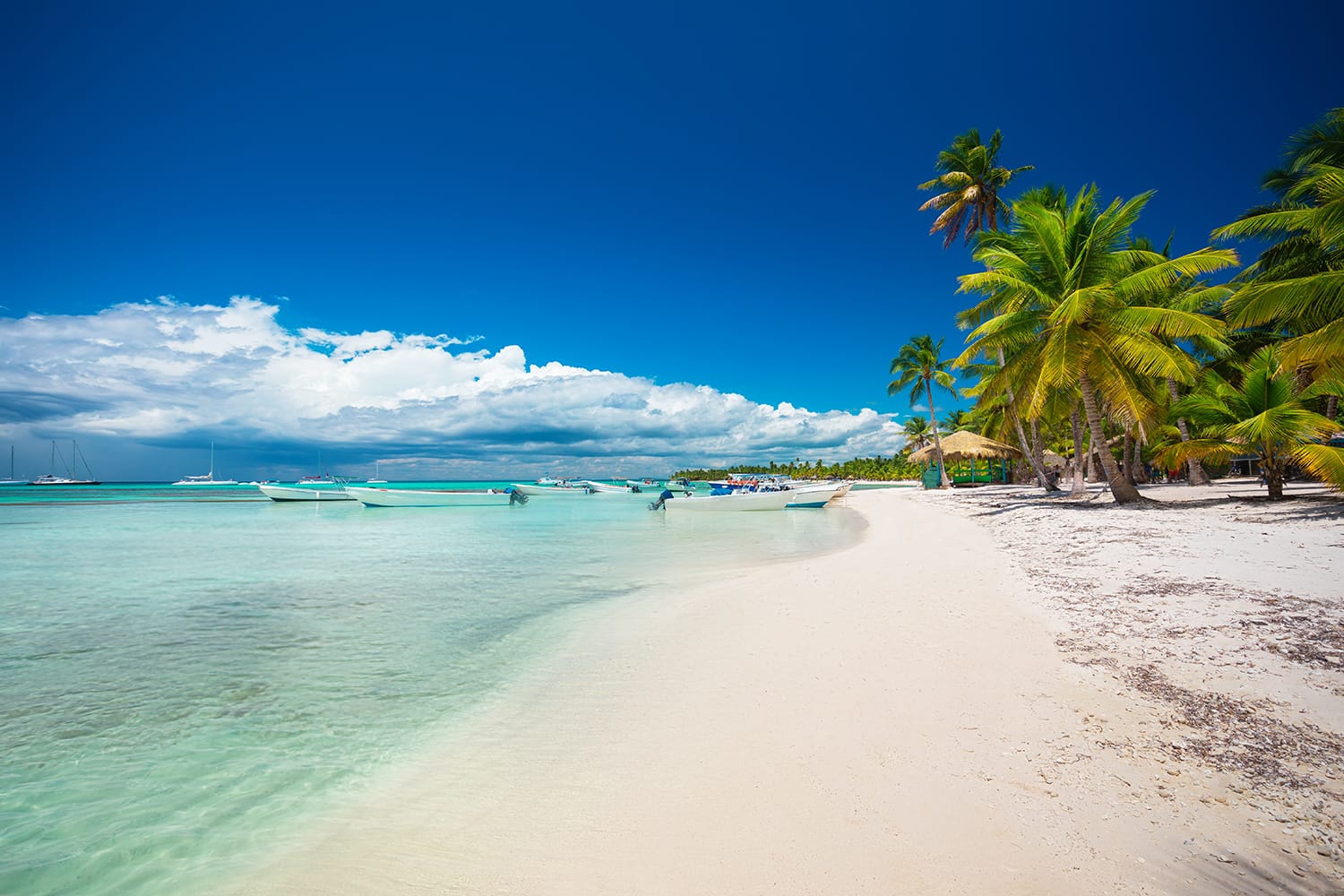 Tropical beach in Punta Cana, Dominican Republic