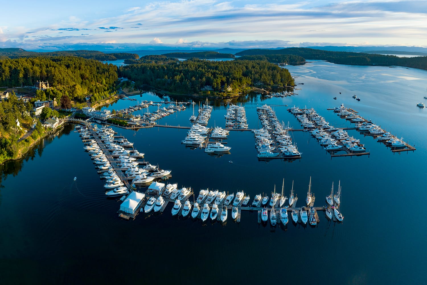 Aerial view of San Juan Island in Washington, USA