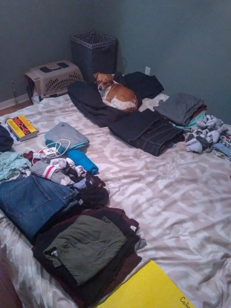 Laying out what we want to pack for Ireland in a carry-on suitcase with our dog Ellie sitting on top of the pile of clothing