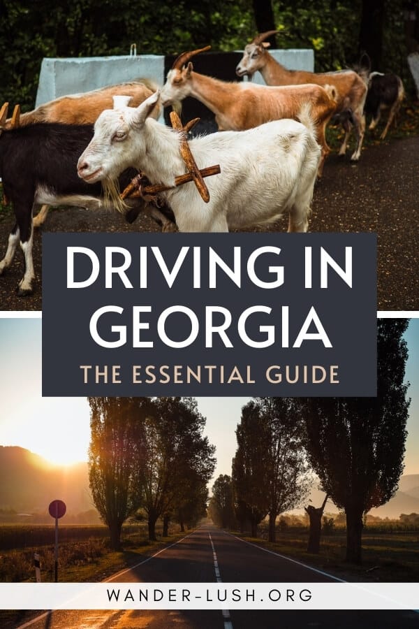 Tips for driving in Georgia.