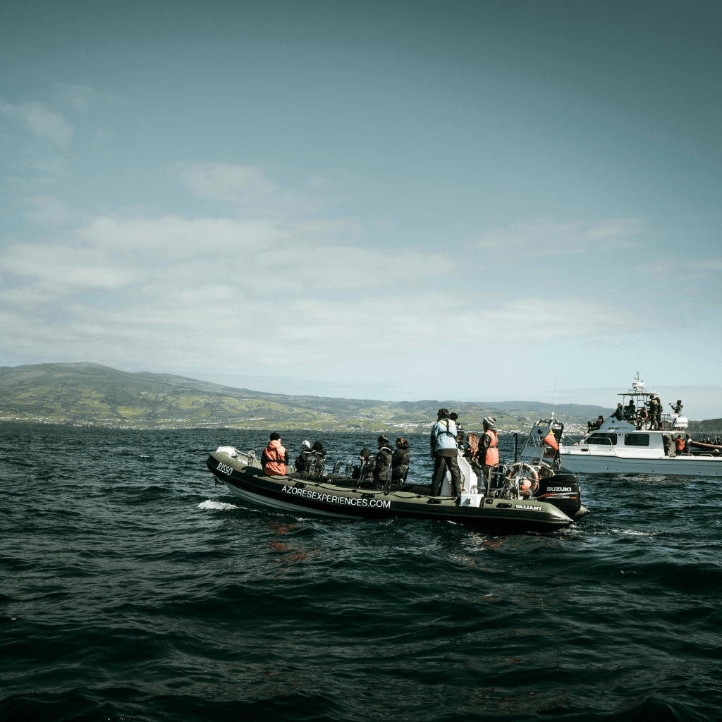 Whale watching boat on the water, Photo By Andrea Zanenga