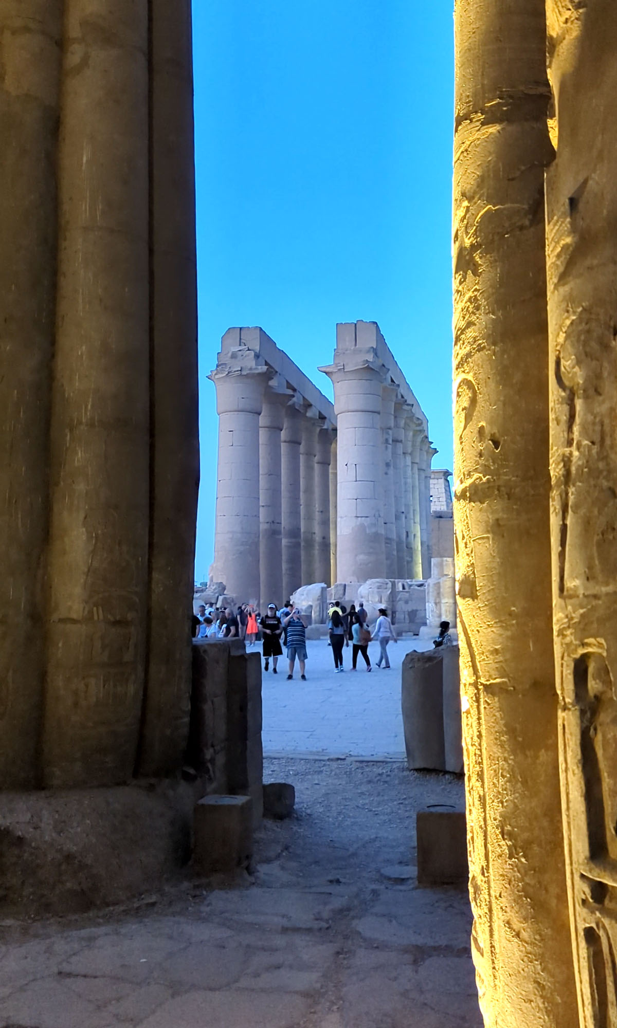 Enormous tall columns lit up in the evening at the Luxor Temple in Egypt. 